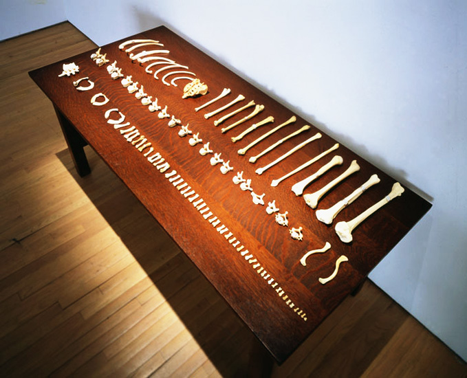Jenny Holzer, 