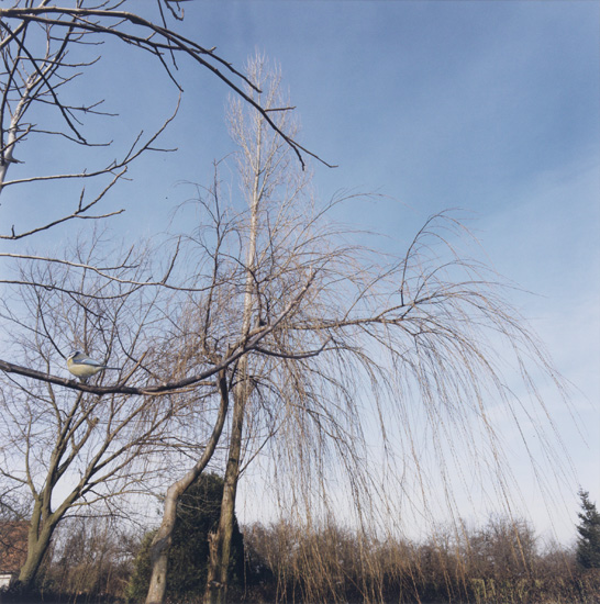 Jean-luc Mylayne, No. 72, Mars Avril 1987
