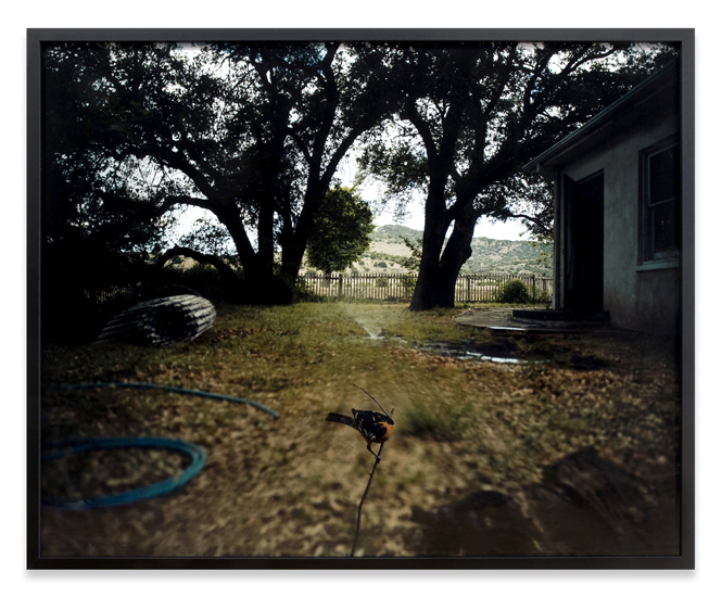 Jean-luc Mylayne, No. 340, avril mai 2005
