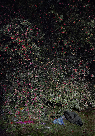 Nina Pohl, Untitled, 2004
