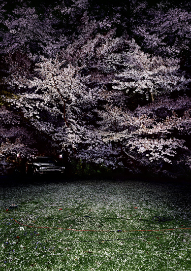 Nina Pohl, Untitled, 2004
