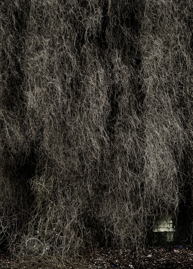 Nina Pohl, Untitled, 2004