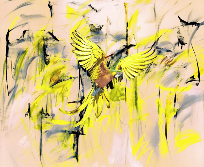 Nina Pohl, A little something refreshing II, 2012