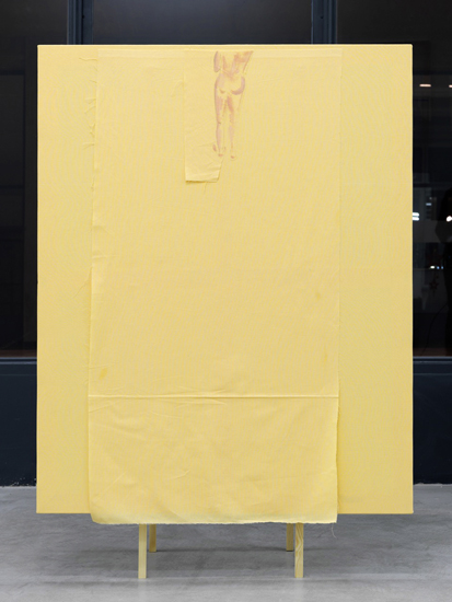 Gerda Scheepers, Medium and Modality Picture (White Man), 2011