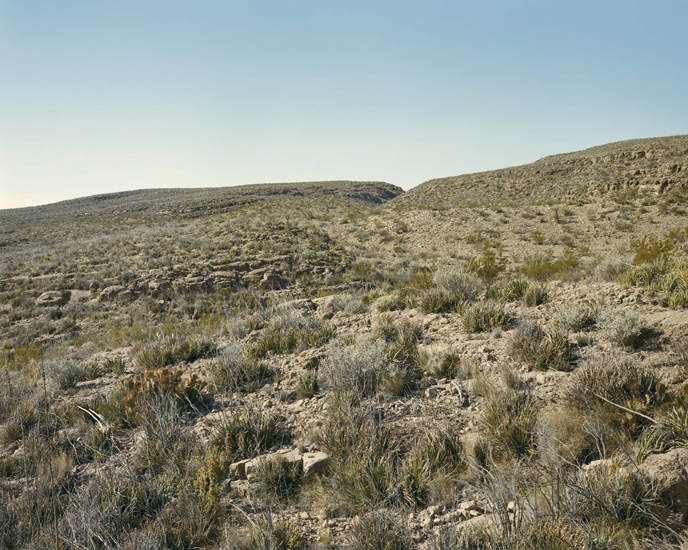 Stephen Shore, 