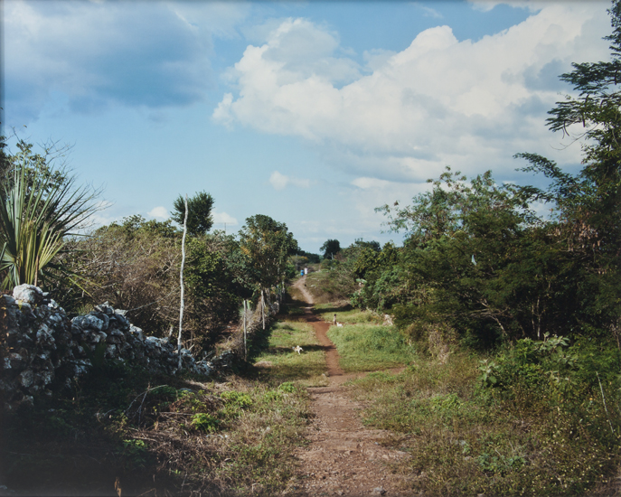 Stephen Shore, 
