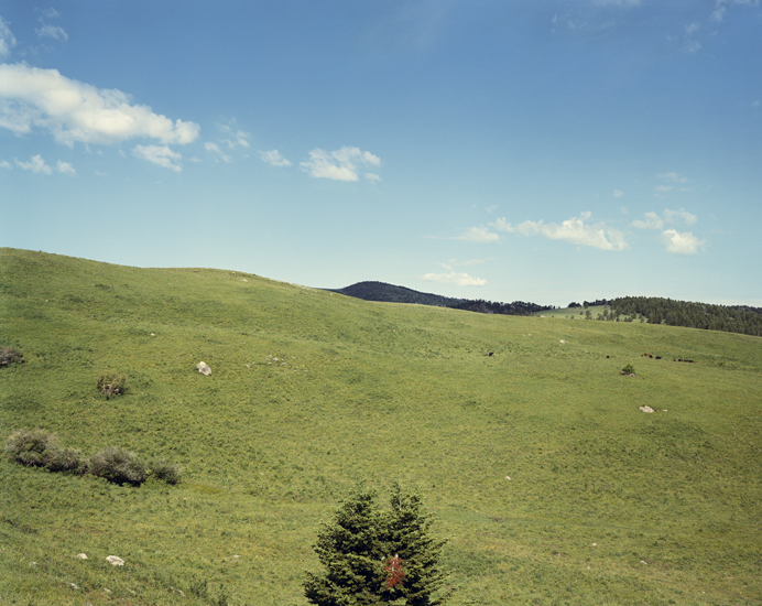 Stephen Shore, 