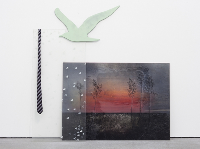 Robert Elfgen, Cinderella, 2014
