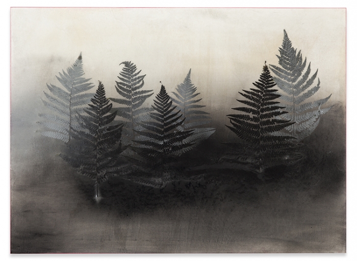 Robert Elfgen, Pisogne, 2014
