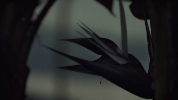 Cyprien Gaillard, Nightlife, 2015