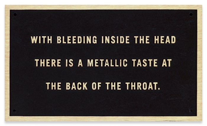 Jenny Holzer, 