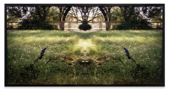 Jean-luc Mylayne, No. 407, avril mai 2006