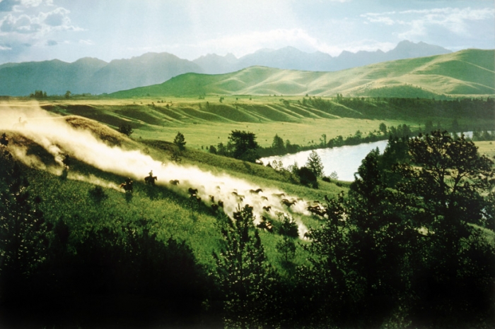 Richard Prince, Untitled (cowboy), 1999