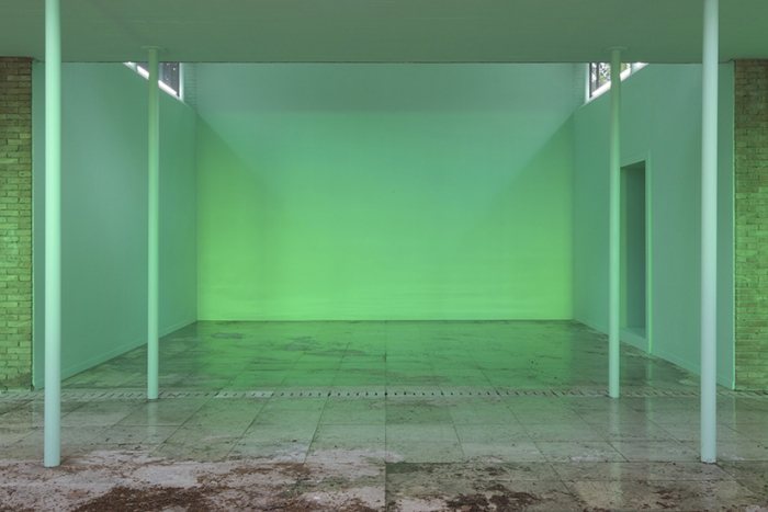 Pamela Rosenkranz, Installation view, 'Our Product', Pavilion of Switzerland at the 56th Venice Biennale, 2015