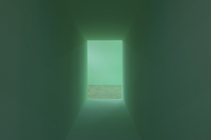 Pamela Rosenkranz, Installation view, 'Our Product', Pavilion of Switzerland at the 56th Venice Biennale, 2015