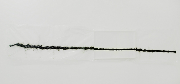 Analia Saban, Black Line, 2006
