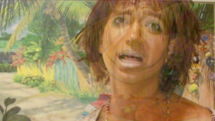 Ryan Trecartin, Sibling Topics (section a), 2009
