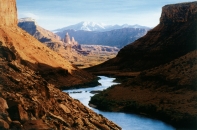 RICHARD PRINCE, UNTITLED (COWBOY), 1999